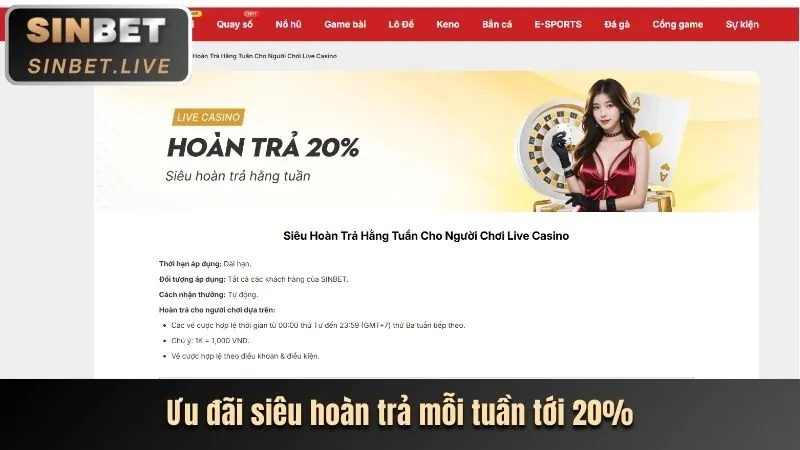 Hoàn trả cược thua hàng tuần tại 8day bet